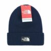 Luxury Designer Beanie Hat – TNF x Gucci Style.1.1