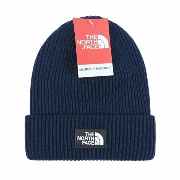 Luxury Designer Beanie Hat – TNF x Gucci Style.1.1
