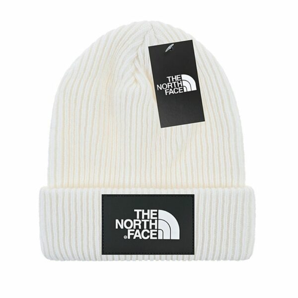 Luxury Designer Beanie Hat – TNF x Gucci Style.2.1