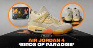Air Jordan 4 Birds of Paradise