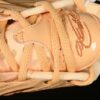 Nike LeBron XXI EP Basketball Shoes  – FV2346-800 MJ