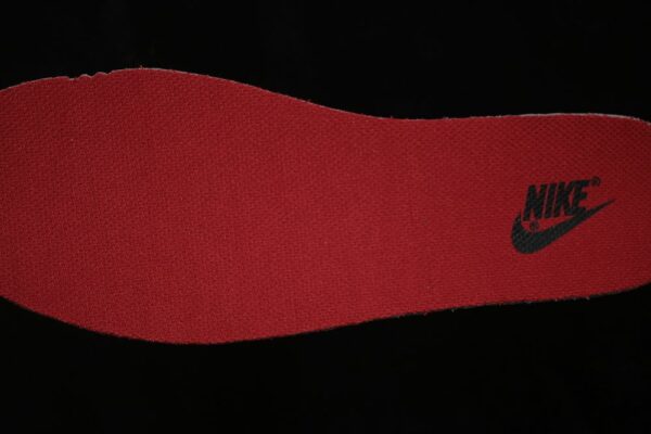 Nike Dunk Low Retro SE ‘College Grey Team Red’ IB6399-004