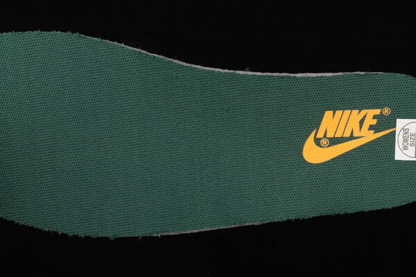 Nike Dunk Low ‘Michigan State’ DD1391-101